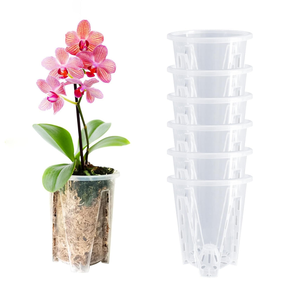 Pavtner orchid pot clear top view showing transparent design for root monitoring