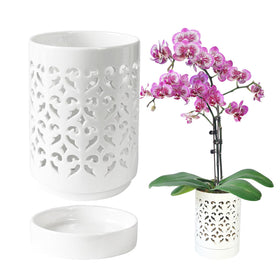 Pavtner Orchid Pot with holes promotes air circulation for healthy roots