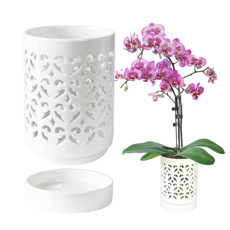 Pavtner Orchid Pot with holes promotes air circulation for healthy roots