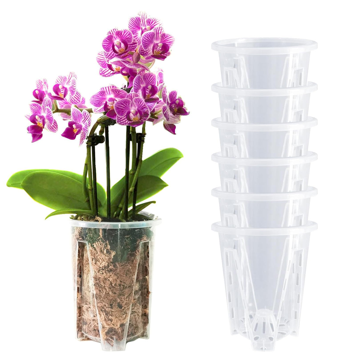 Pavtner orchid pot usable indoors and outdoors for orchids and flowers