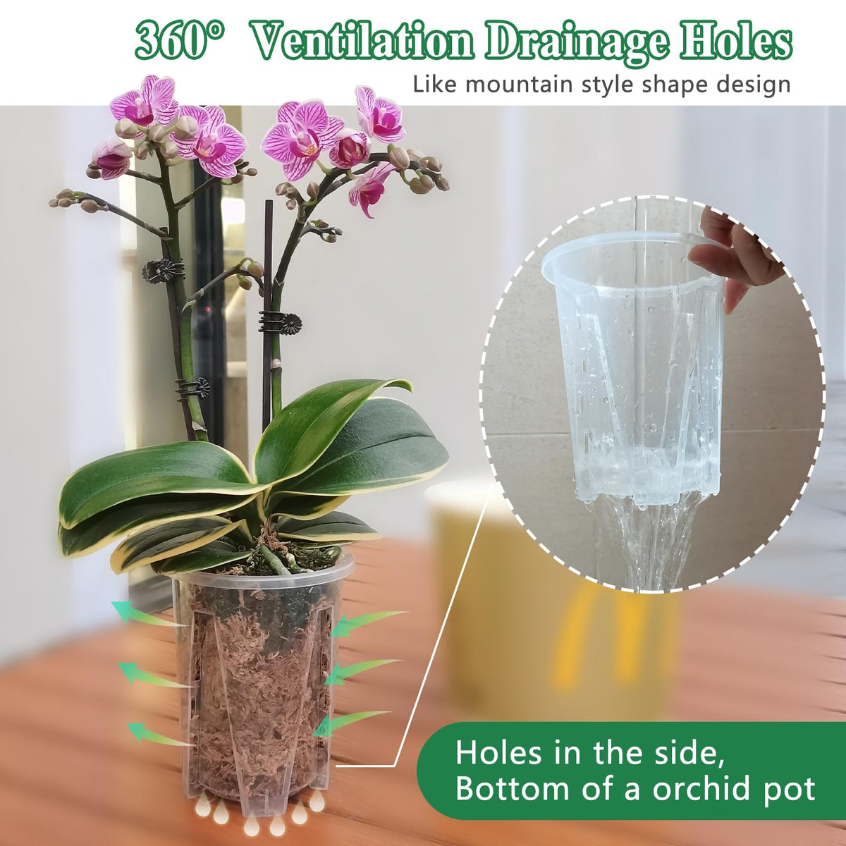 Pavtner orchid pot made of polypropylene plastic for durability and lightness