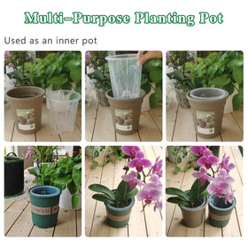 Pavtner orchid pot transparent walls for easy root observation