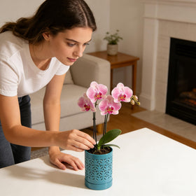 Pavtner orchid pot with attached saucer keeps surfaces clean.