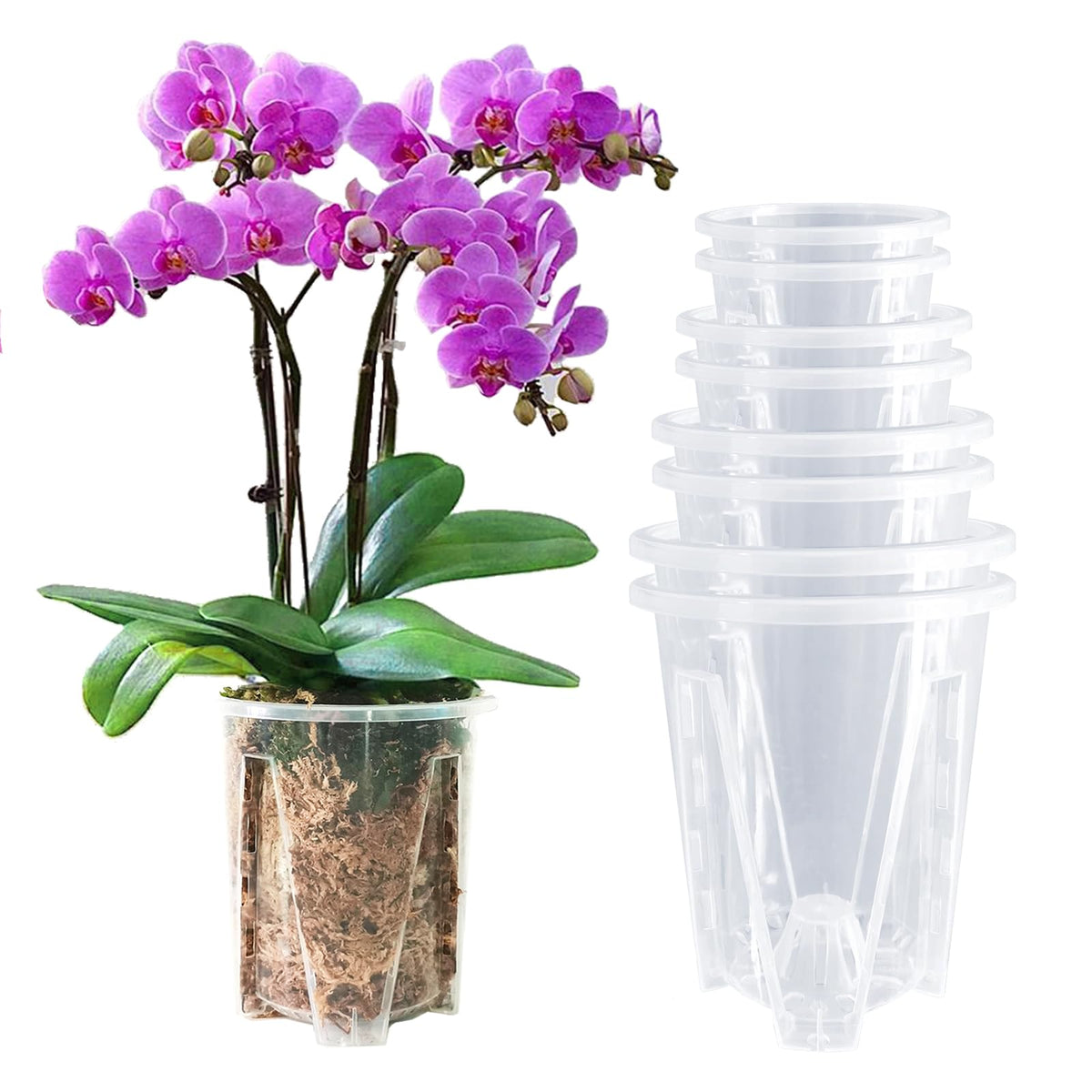 pavtner orchid pots show clear walls for easy root observation