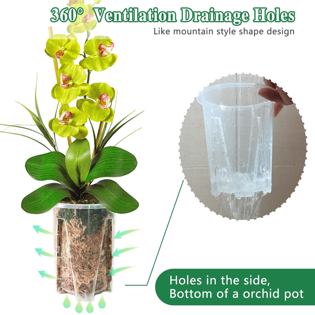 pavtner clear pots allow quick light and root inspection