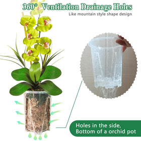 pavtner clear pots allow quick light and root inspection