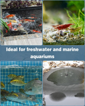 Pawfly 6-pack provides regular replacement for consistent filtration.