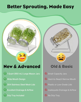 Pawfly drip stand and tray keep counters tidy during sprouting.