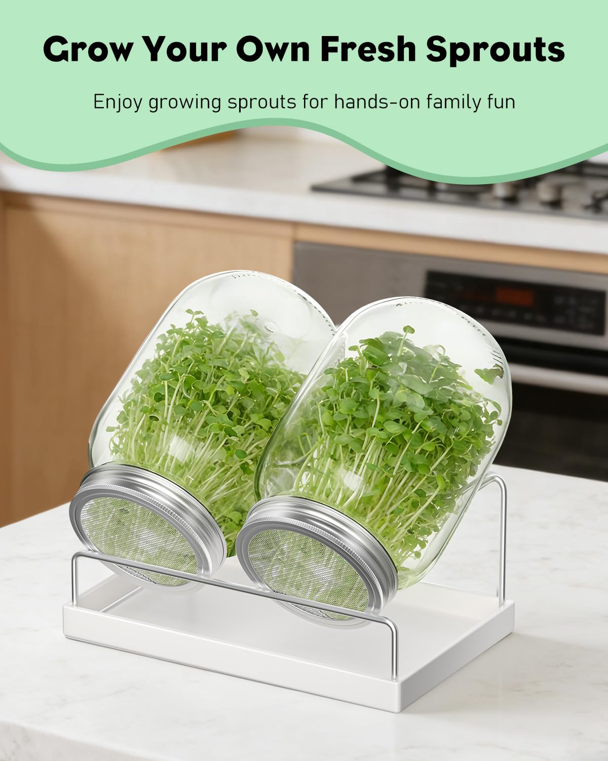 Pawfly fresh sprouts ready to harvest for meals.