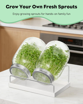 Pawfly fresh sprouts ready to harvest for meals.