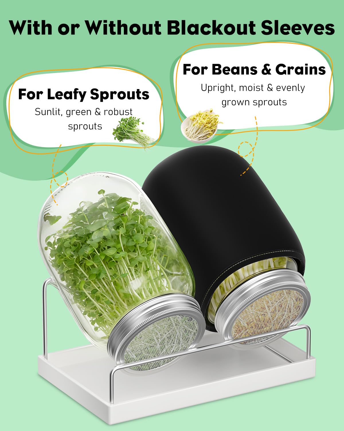 Pawfly sponge brush for quick jar cleaning after sprouting.