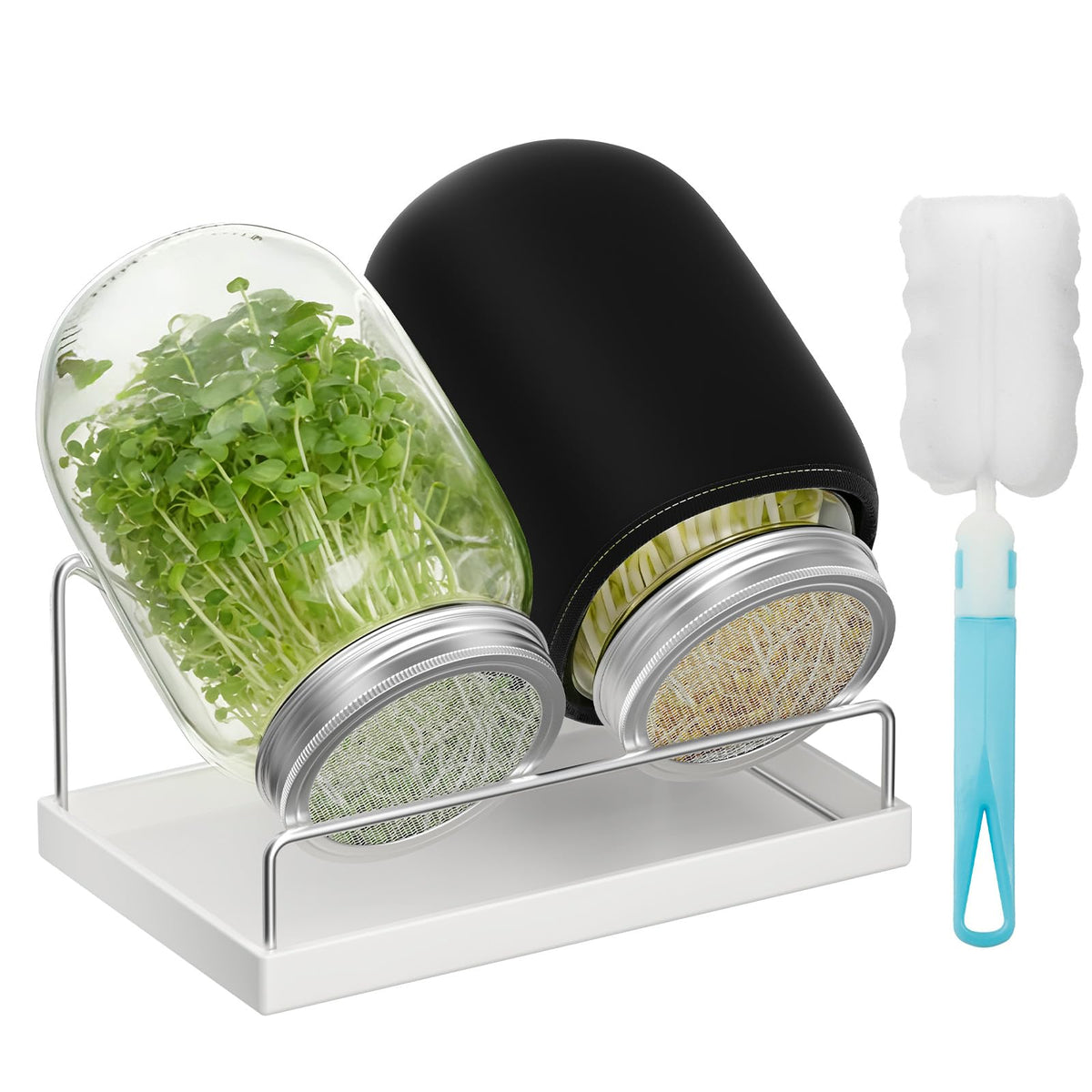 Pawfly sprouting kit with wide-mouth 1qt jar for easy filling and rinsing.