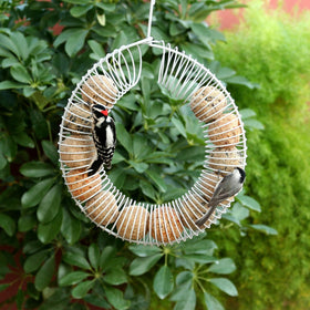 Backyard feeder ready with Pacific Bird suet balls for year-round bird visits.