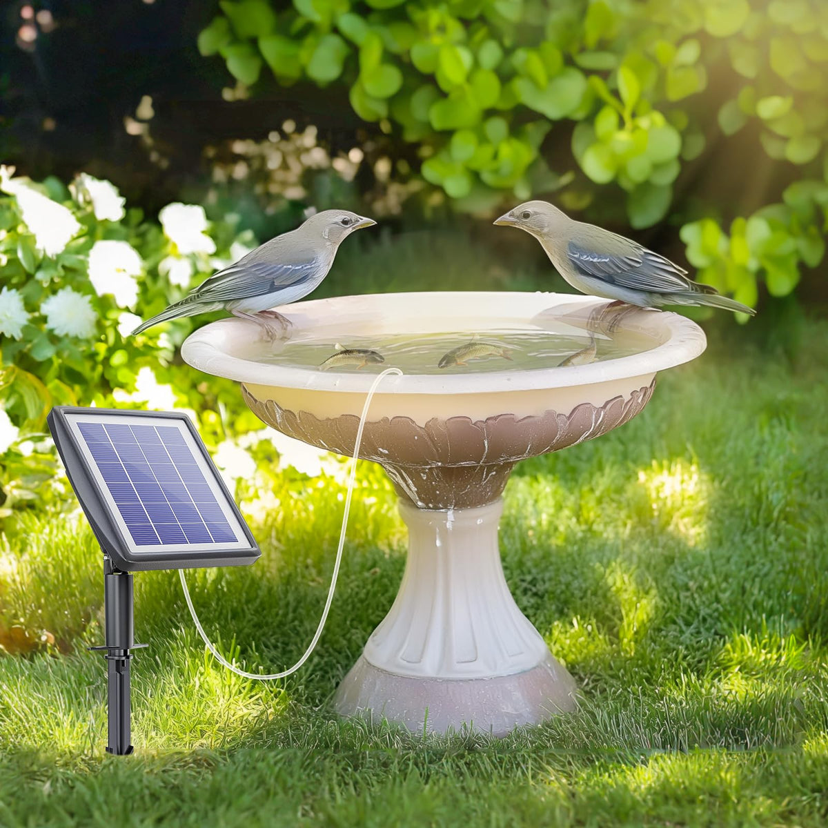 PChero solar pond aerator air stones ensuring bubbles and oxygen flow.