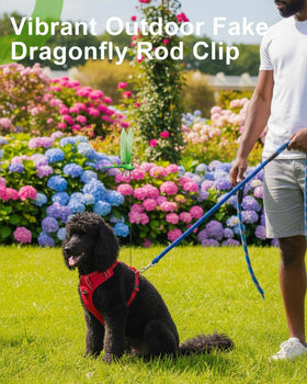 PCVLFPA dragonfly clip available in blue red yellow green