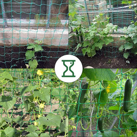 PDGROW garden use case supports peas, cucumbers, tomatoes and other climbing vegetables.
