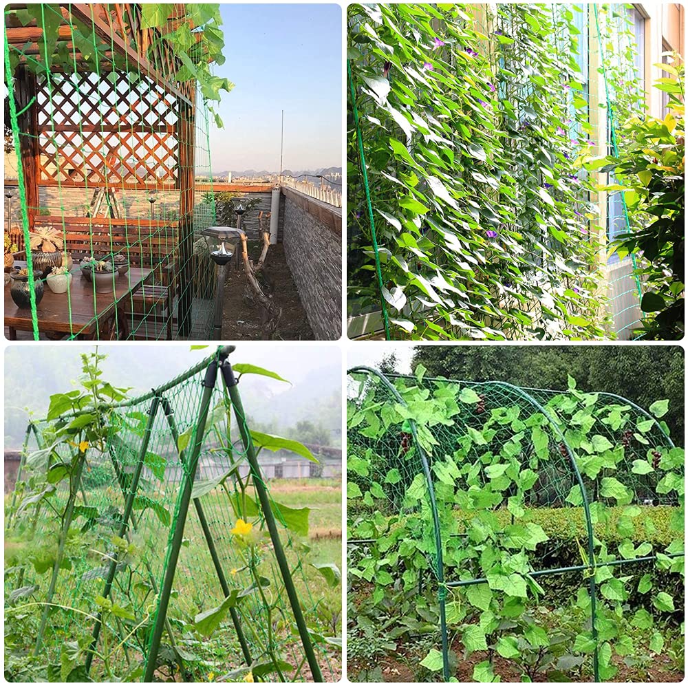 PDGROW heavy-duty netting protects crops from ground contact and reduces disease risk.