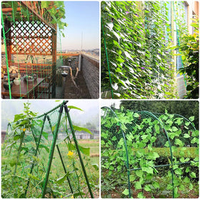 PDGROW heavy-duty netting protects crops from ground contact and reduces disease risk.