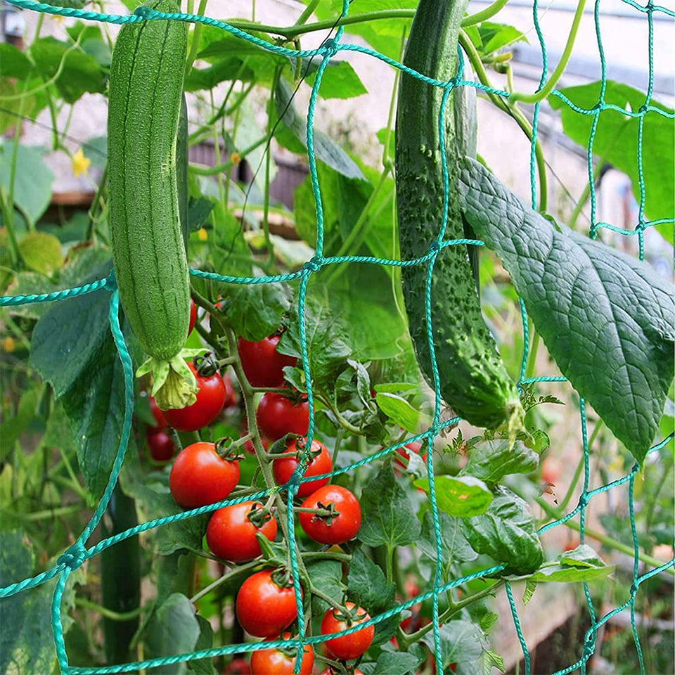 PDGROW trellis netting overview showing sturdy, reusable garden support for climbing plants.