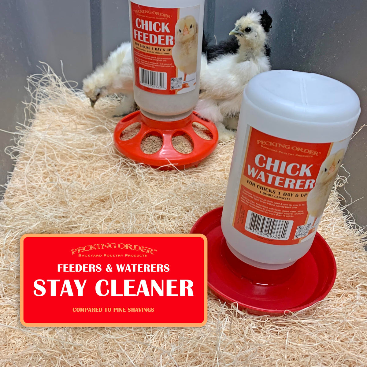 Pecking Order excelsior bedding low dust creates safer brooder environment.