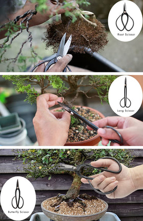 PEEORNT bonsai tweezers for debris removal and delicate plant work