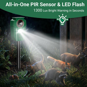 Peepst solar-powered unit withstands rain with IP65 waterproof rating.
