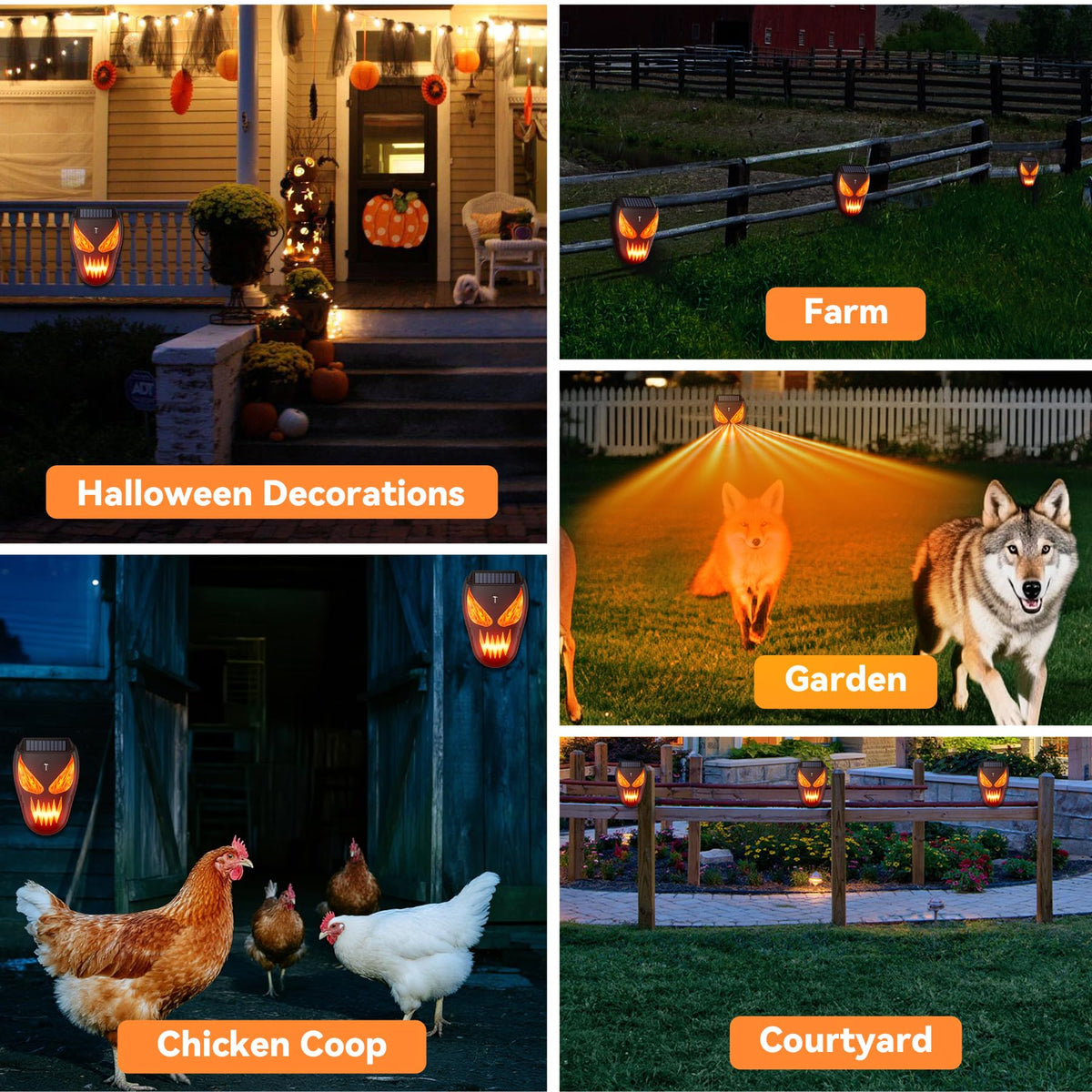 Peepst deterrent near chicken coop promotes peaceful nights for poultry.