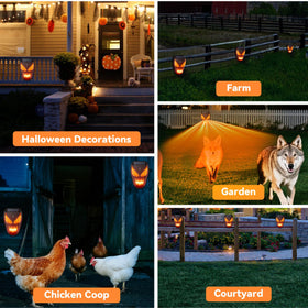 Peepst deterrent near chicken coop promotes peaceful nights for poultry.
