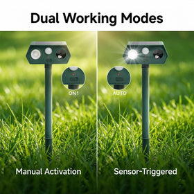 Peepst 3m detection range covers yard edges and beds