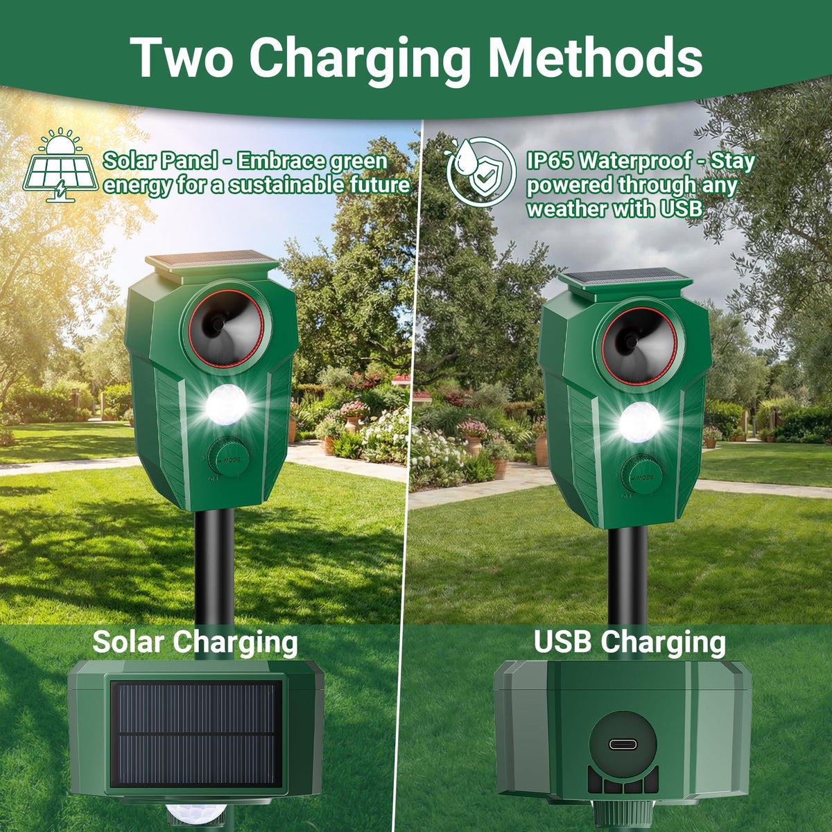 Peepst 30 ft detection range covers patios, gardens, and entry points.