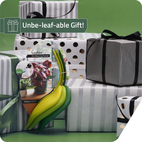 Durable Leaflow design adds functional style to plant care.