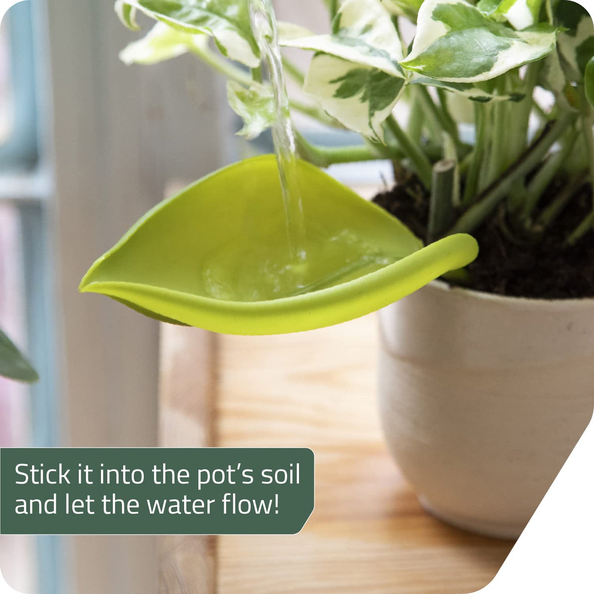 Leaflow for indoor plants helps maintain even moisture.