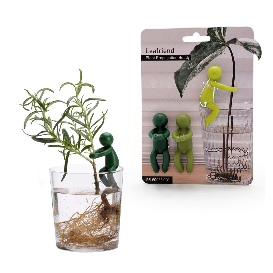 Peleg Design Leafriend sprout support cradling tender stems for early growth