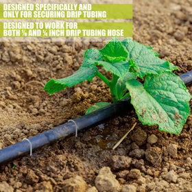 Pelopy 5-inch ground stake anchors hoses and tubing along beds