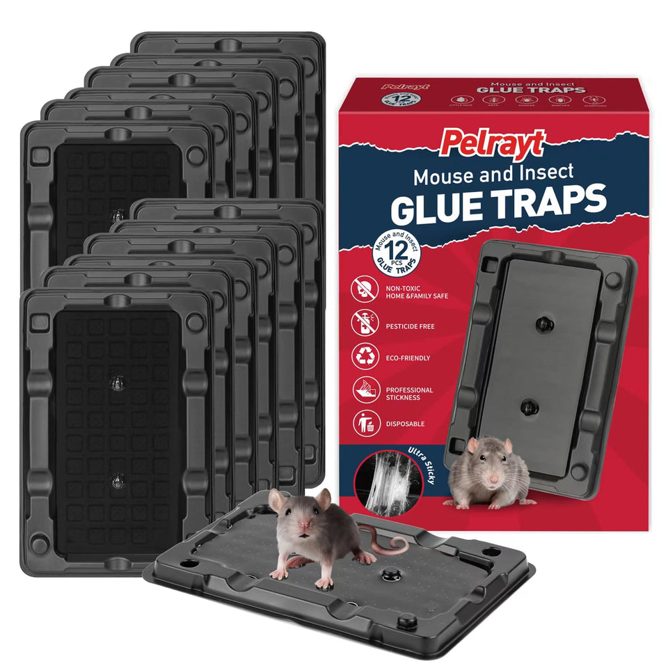 Pelrayt indoor glue mouse traps, front view of pack for easy home pest control