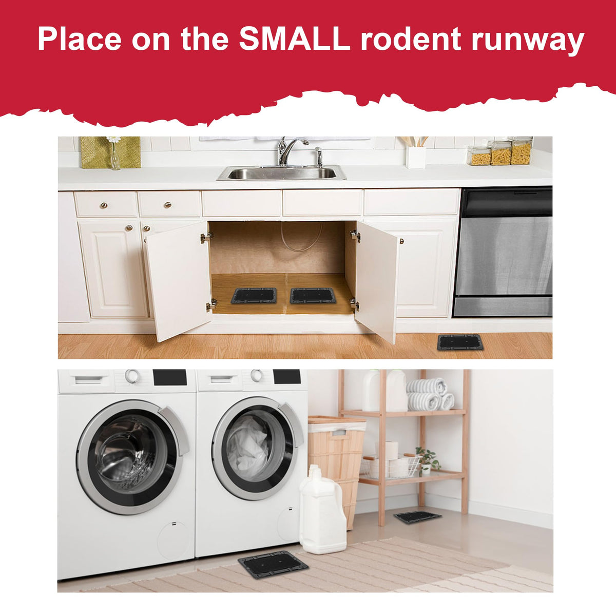 Pelrayt glue traps in kitchen setting for effective rodent control