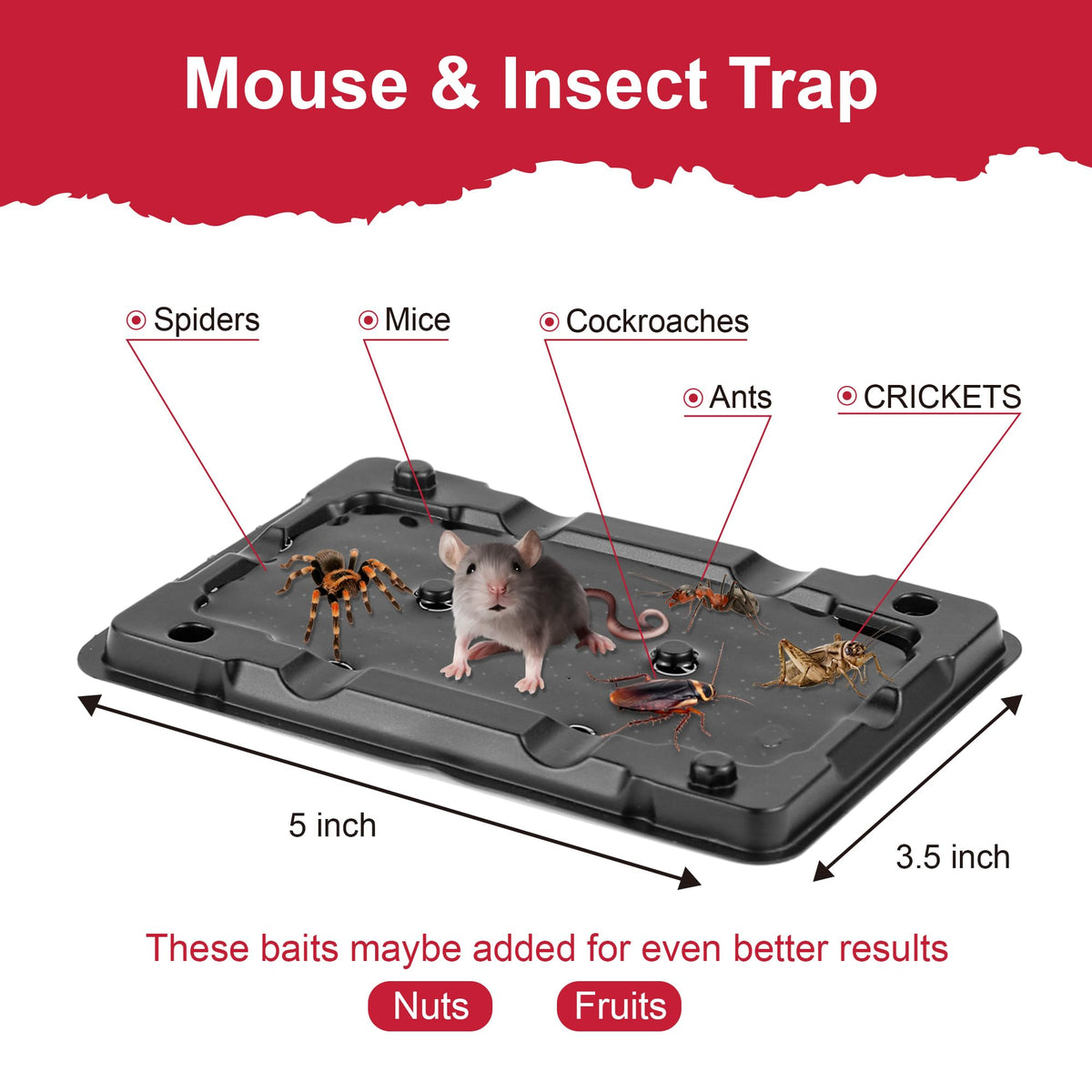Pelrayt non-toxic glue boards safe around pets and children