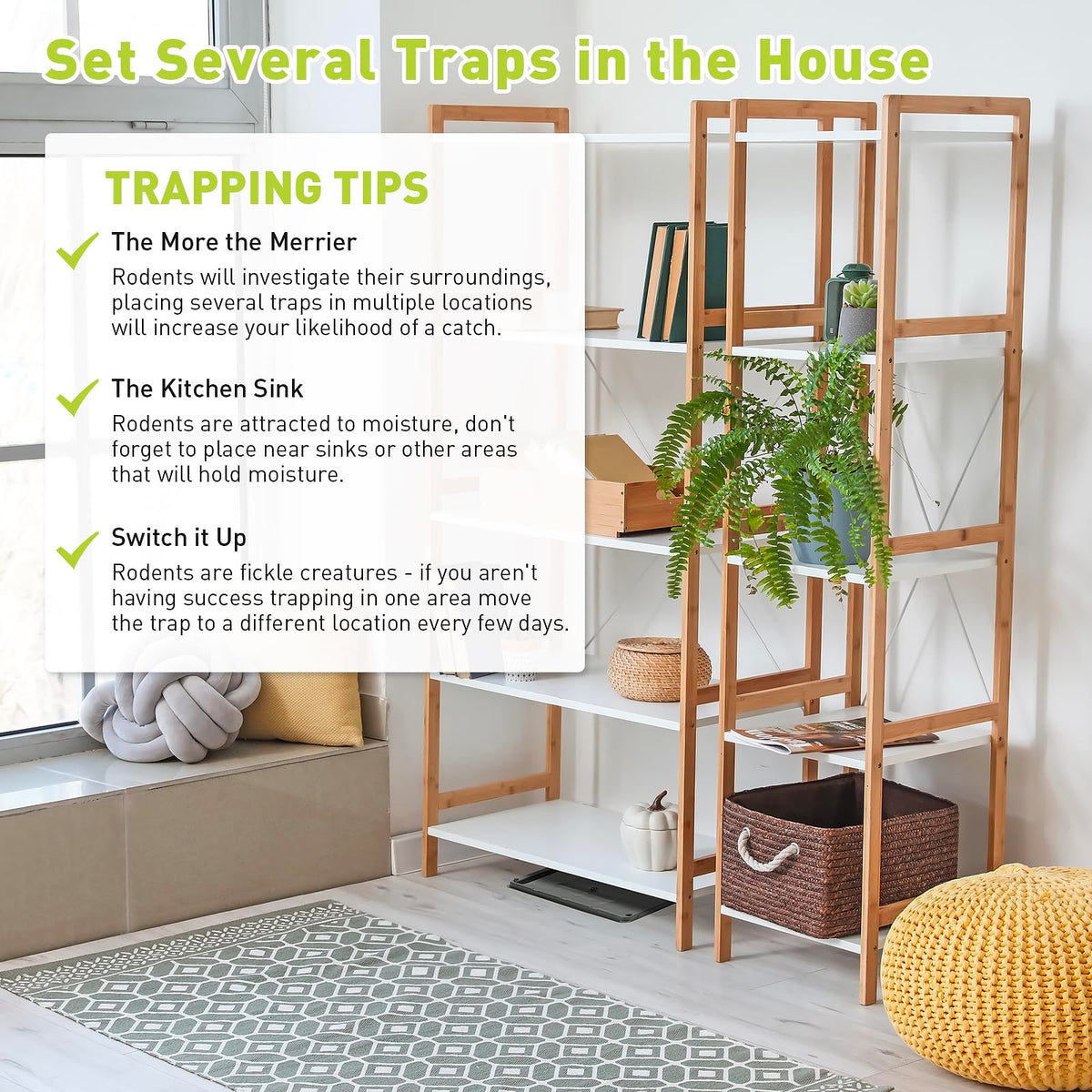 Pelrayt glue trap 12-pack offers cost-effective, ready-to-use pest control.