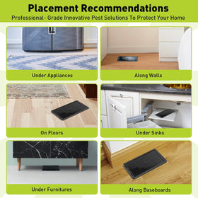 Pelrayt glue trap broad pest range suitable for mice, rats, and more.