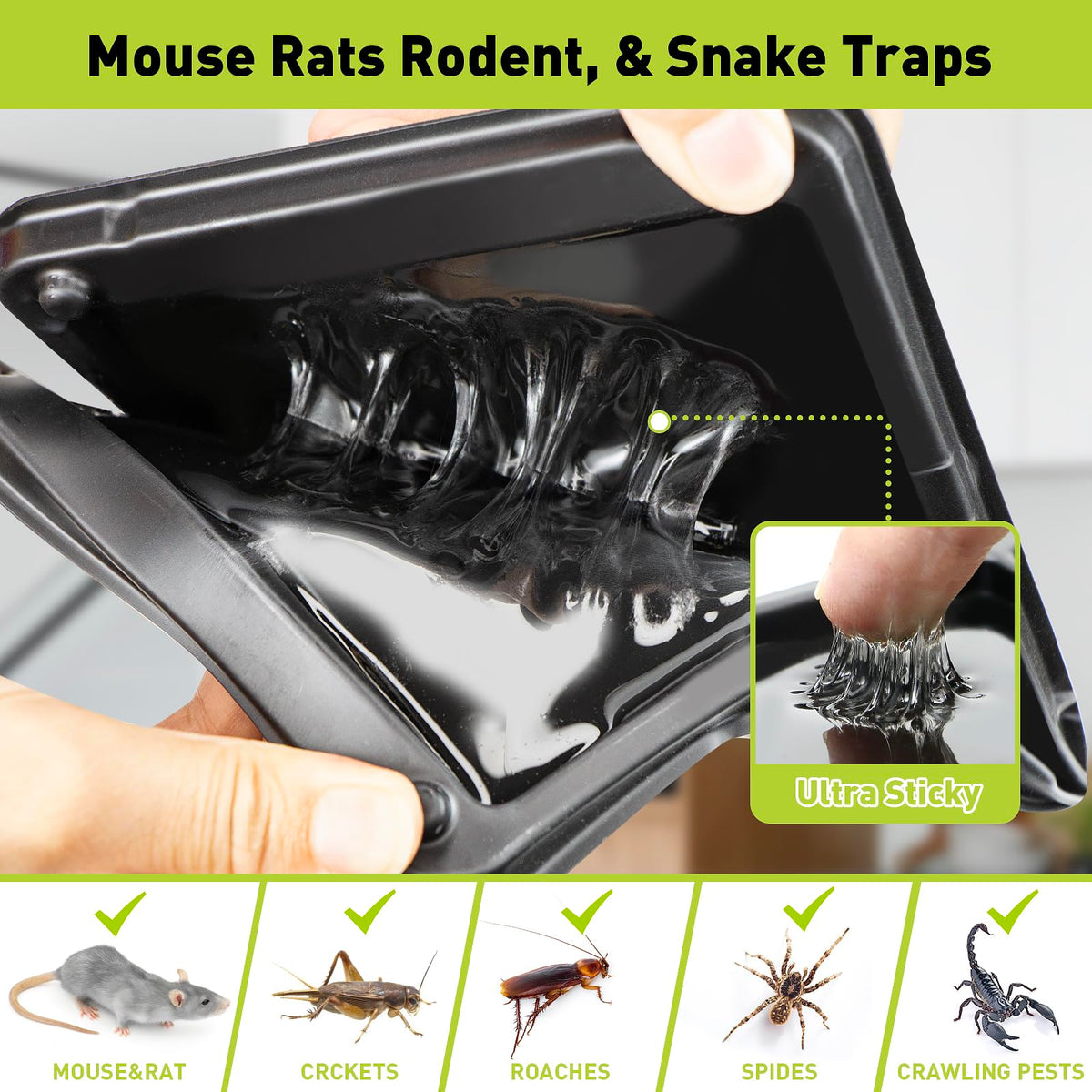 Pelrayt glue trap prebaited peanut scent eases setup and increases attraction.