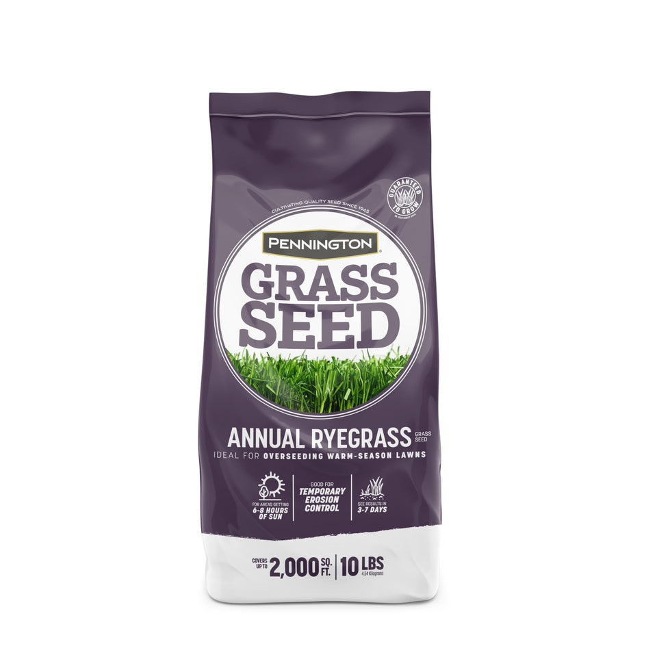 Pennington Annual Ryegrass seed bag demonstrates fast establishment for temporary lawn color.