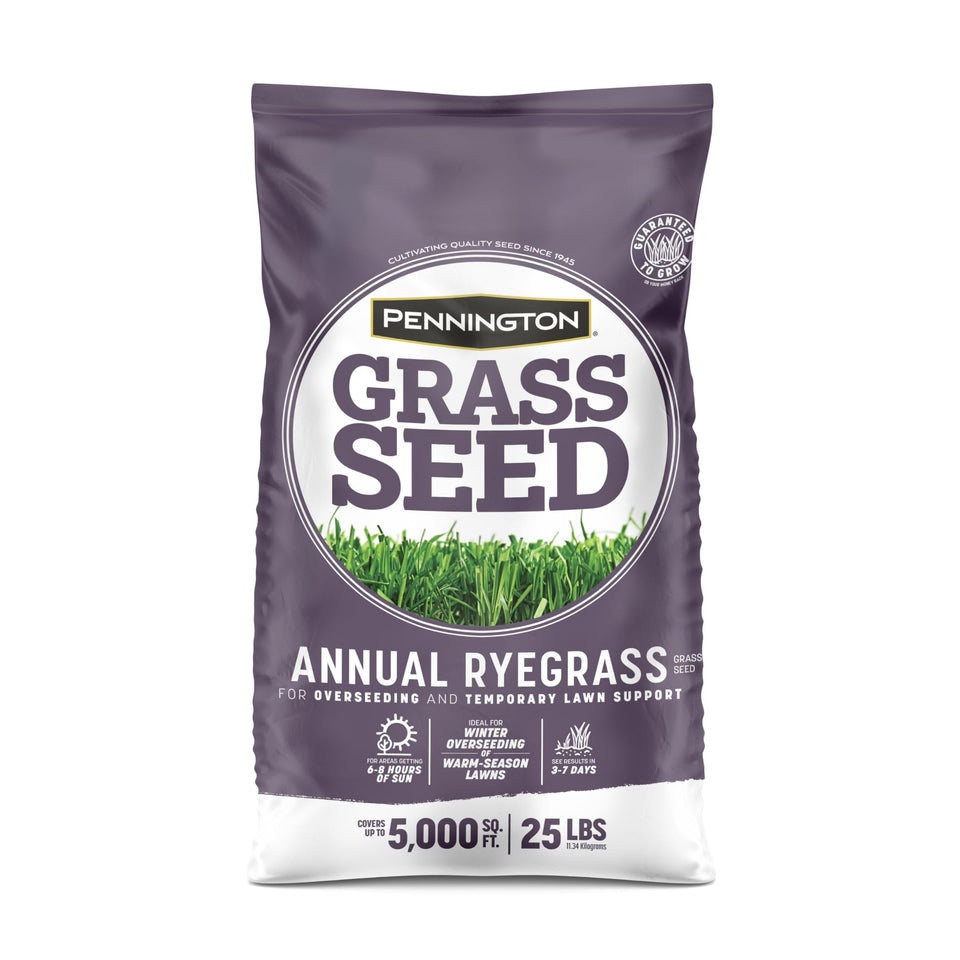 Pennington Annual Ryegrass seed bag for rapid color and establishment