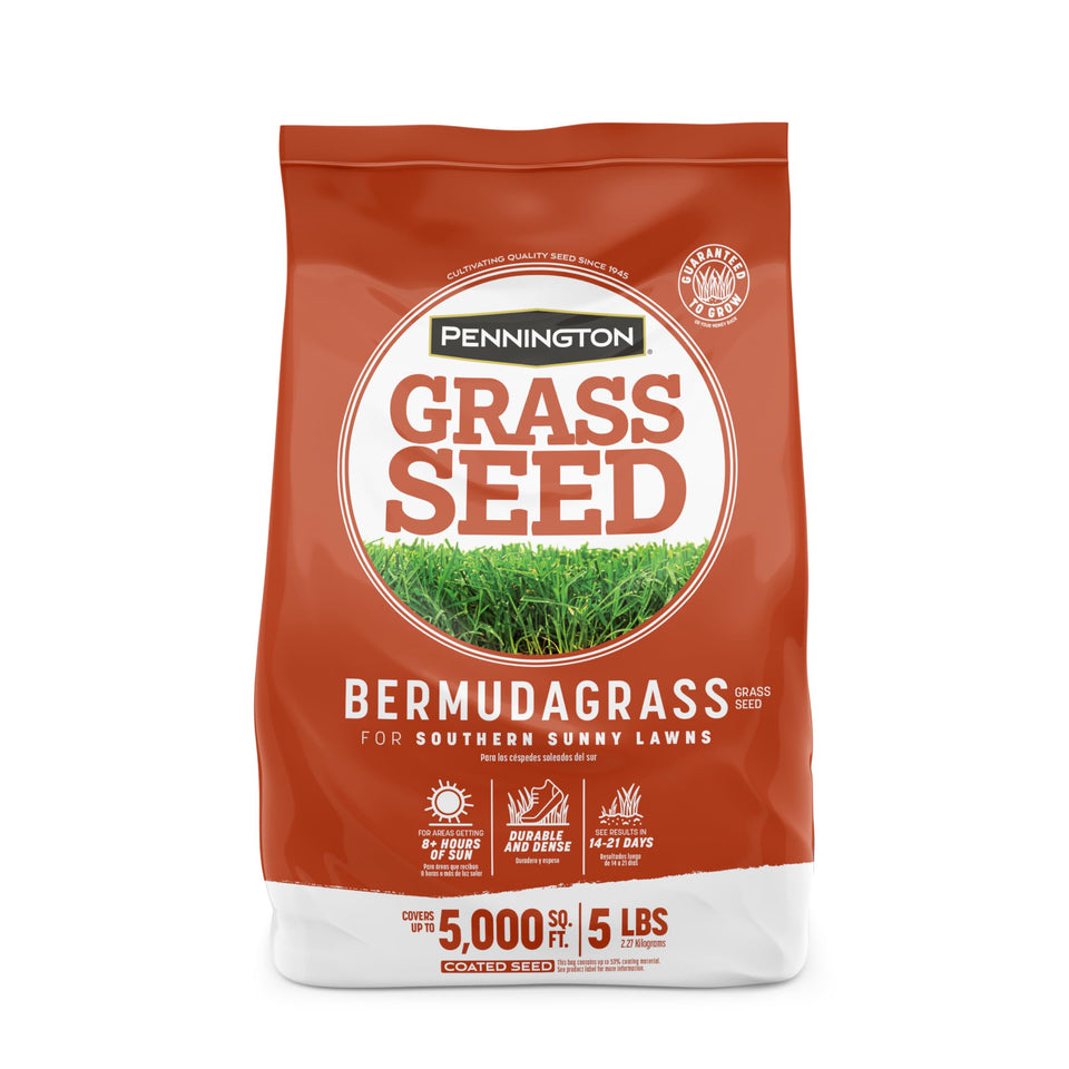 Pennington Bermudagrass seed 5 lb pack promotes germination in sun-drenched lawns