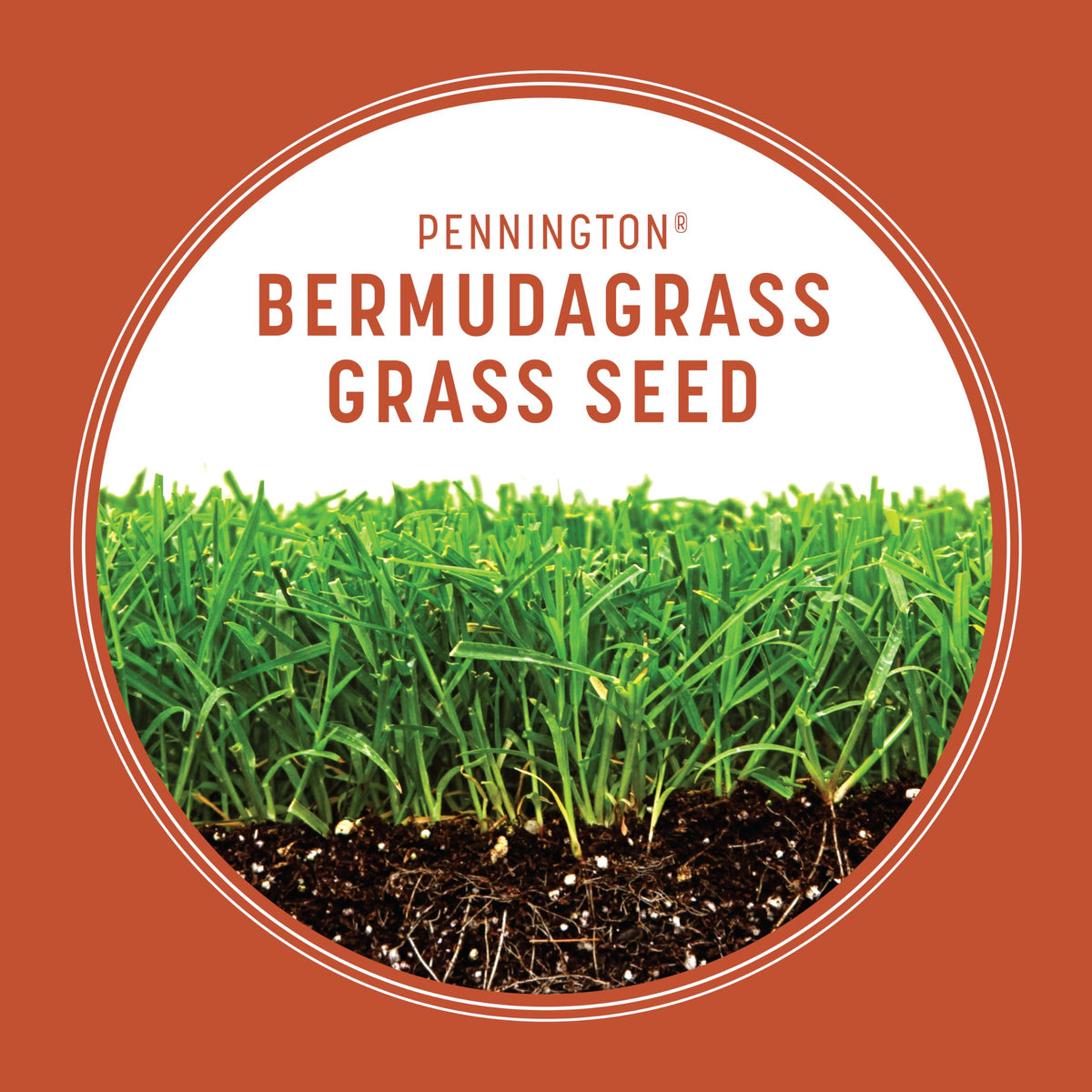 Pennington Bermudagrass seed coverage enables overseeding or starting a sunny lawn