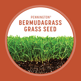 Pennington Bermudagrass seed coverage enables overseeding or starting a sunny lawn