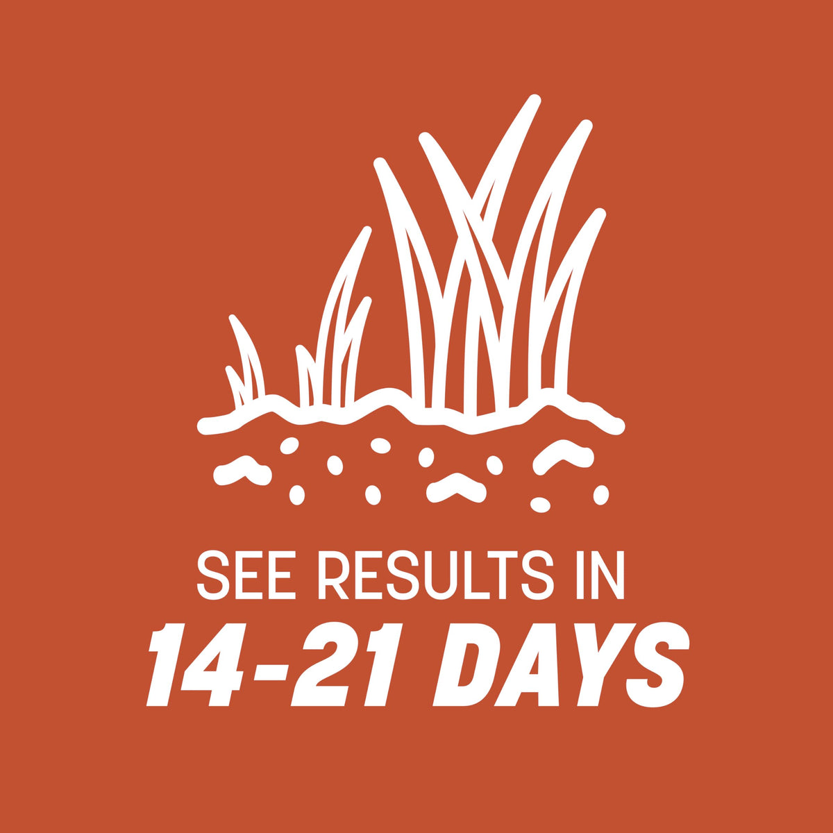 Pennington Bermudagrass seed is drought and wear resistant for busy yards