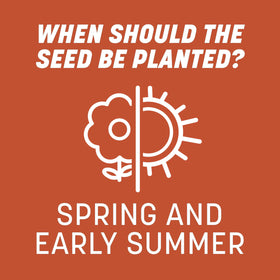 Pennington Bermudagrass seed features Penkoted technology for easier handling