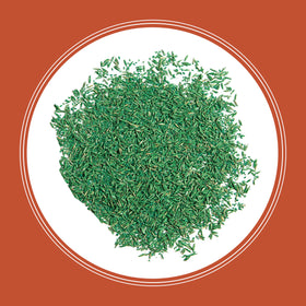 Pennington Bermudagrass seed creates a thick turf with deep roots