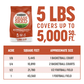 Pennington Bermudagrass seed goes dormant and browns in winter months