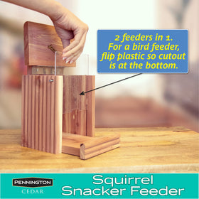 Pennington Cedar Squirrel Snacker Feeder capacity 2.75 lbs statement